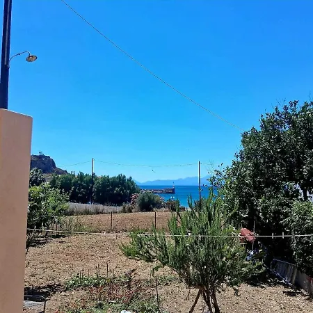 Elaia's Calm Horizon